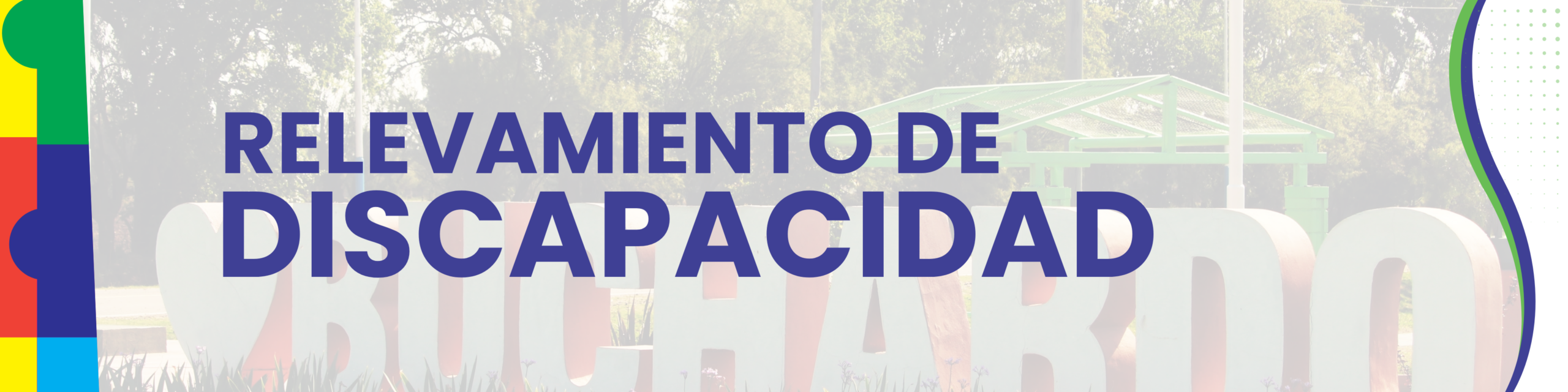 Relevamiento de Discapacidad